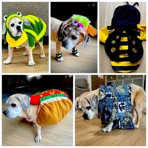 Lot of 5 dog costumes